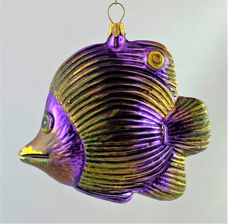 Violetter Riff-Fisch