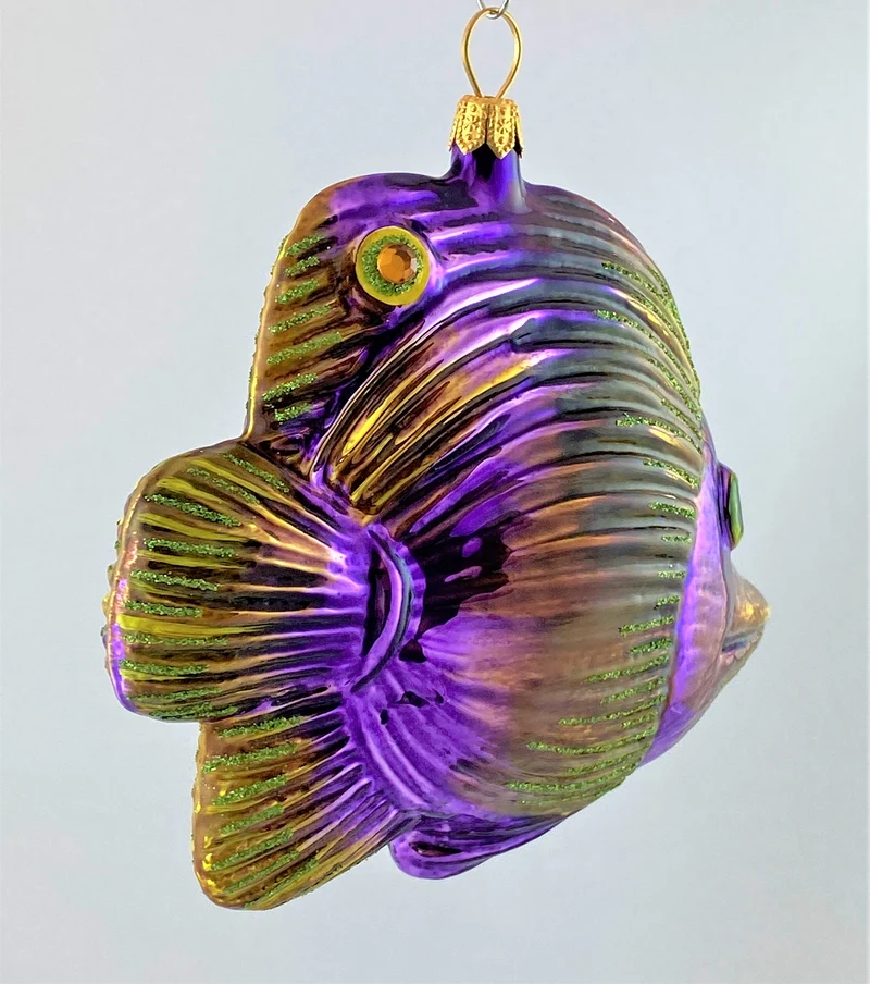 Violetter Riff-Fisch