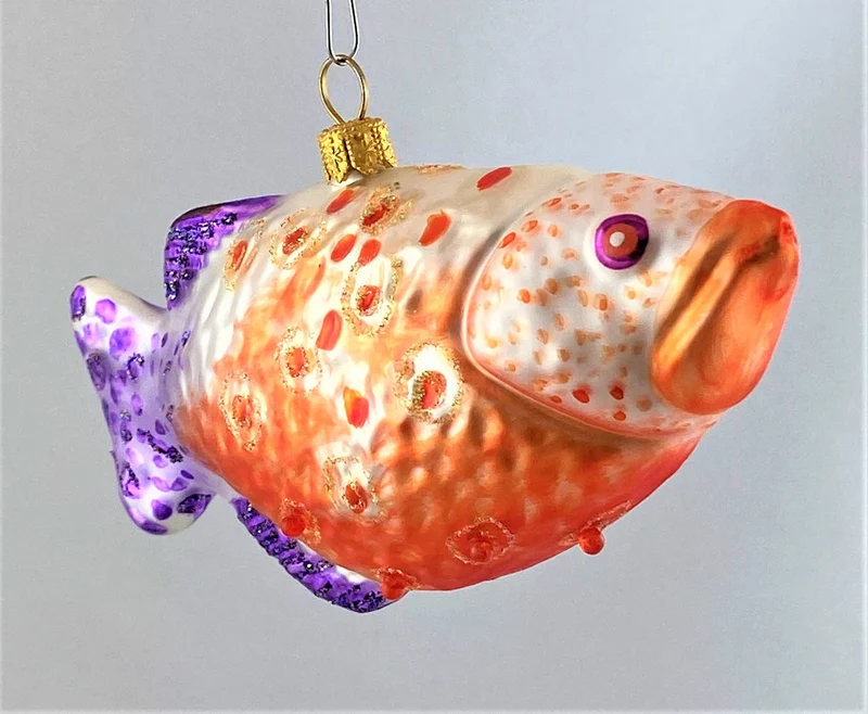 Schützenfisch mit violetter Schwanzflosse