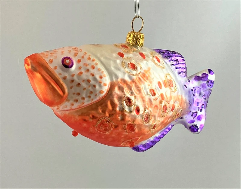 Schützenfisch mit violetter Schwanzflosse