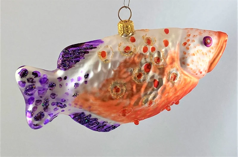 Schützenfisch mit violetter Schwanzflosse