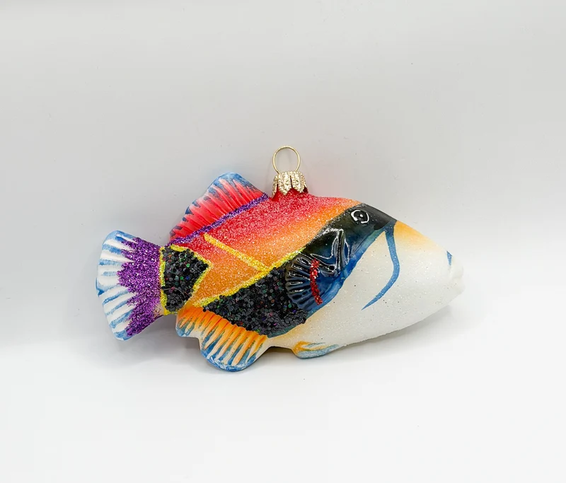 Diamant Picasso-Drückerfisch