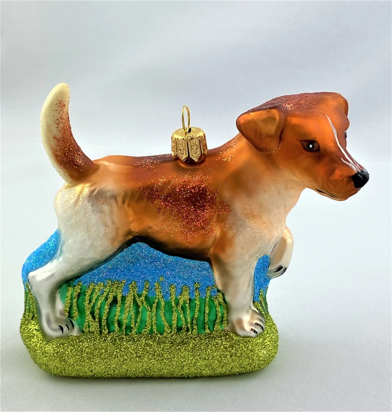Jack Russell