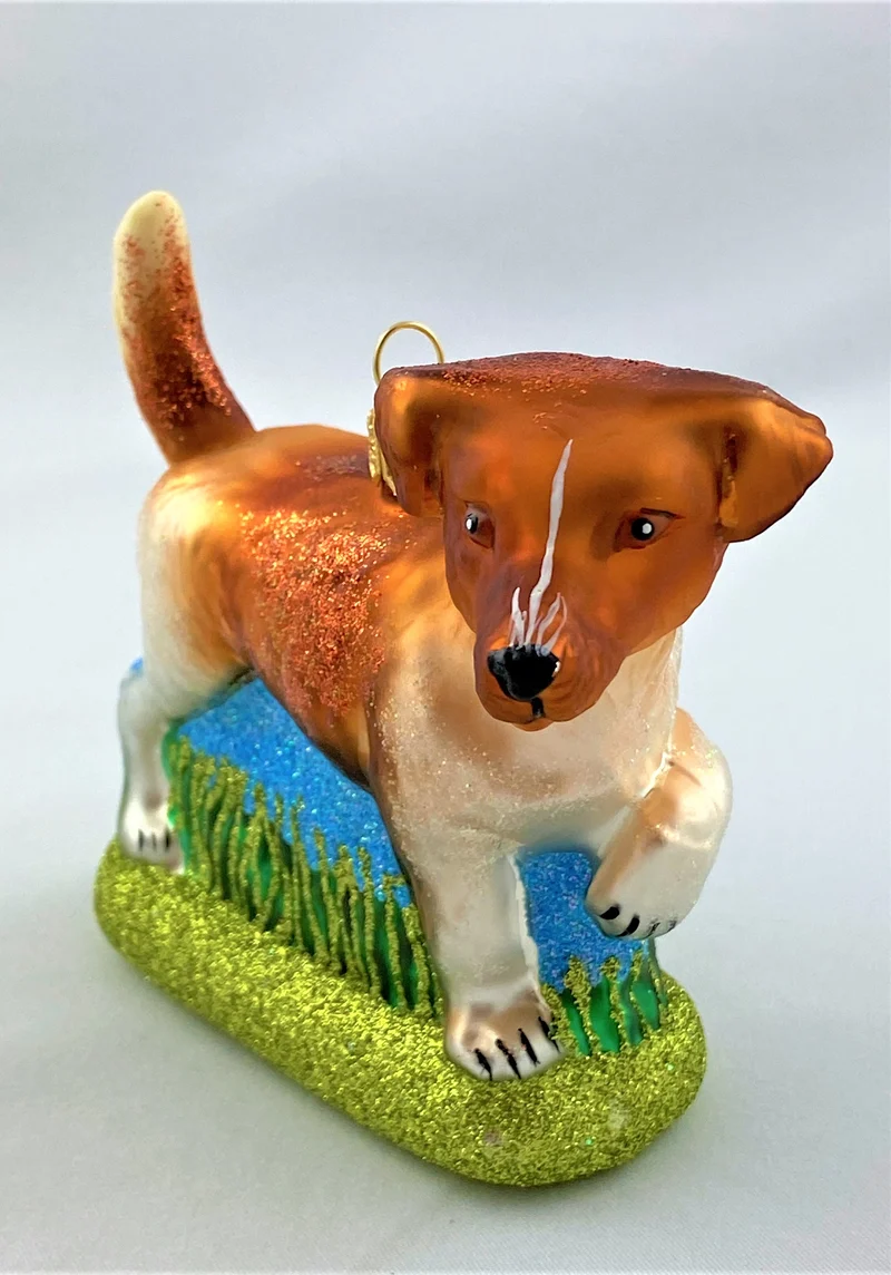 Jack Russell