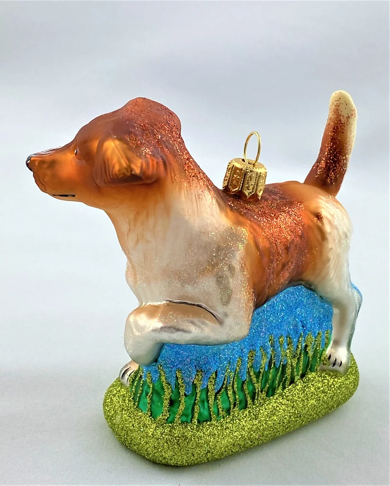 Jack Russell