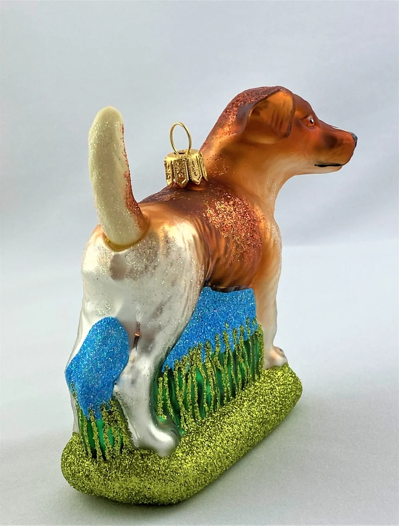 Jack Russell