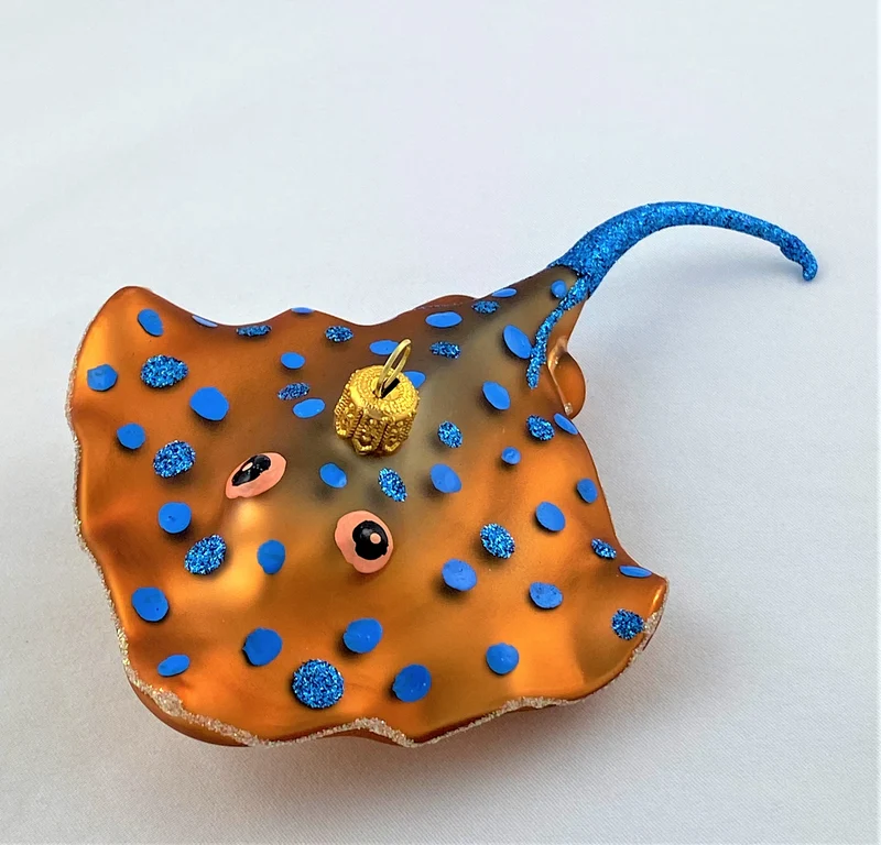Blue Dot Stingray, Stachelrochen