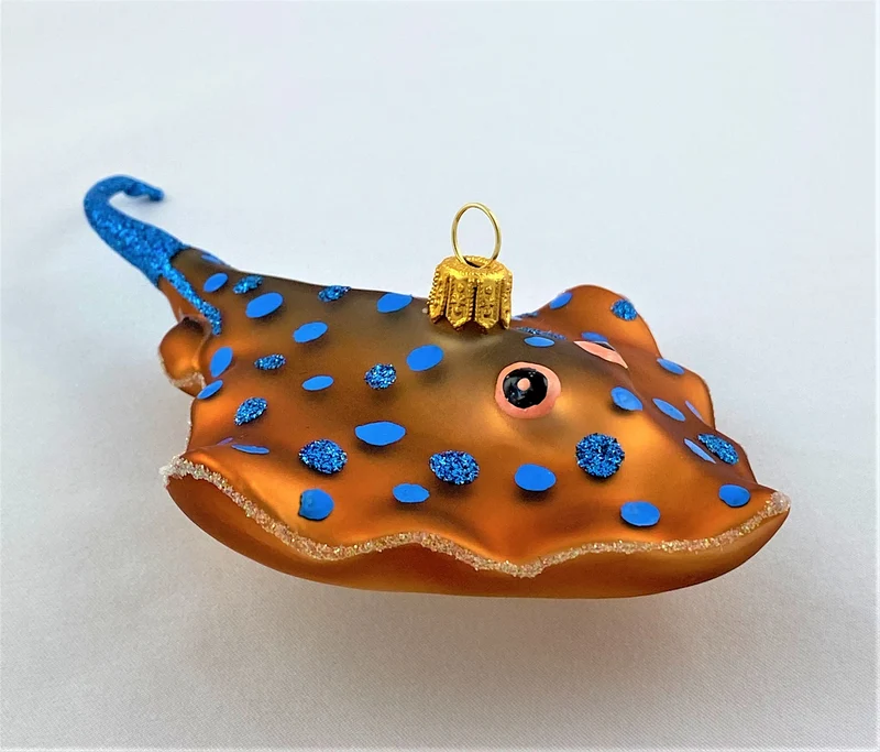 Blue Dot Stingray, Stachelrochen