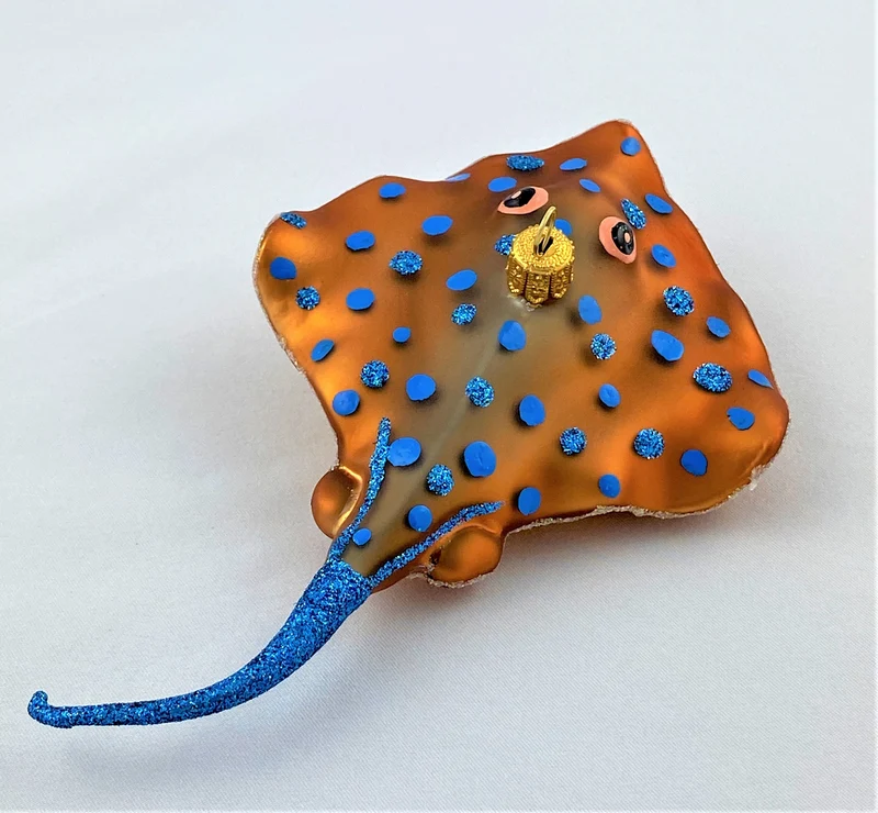 Blue Dot Stingray, Stachelrochen