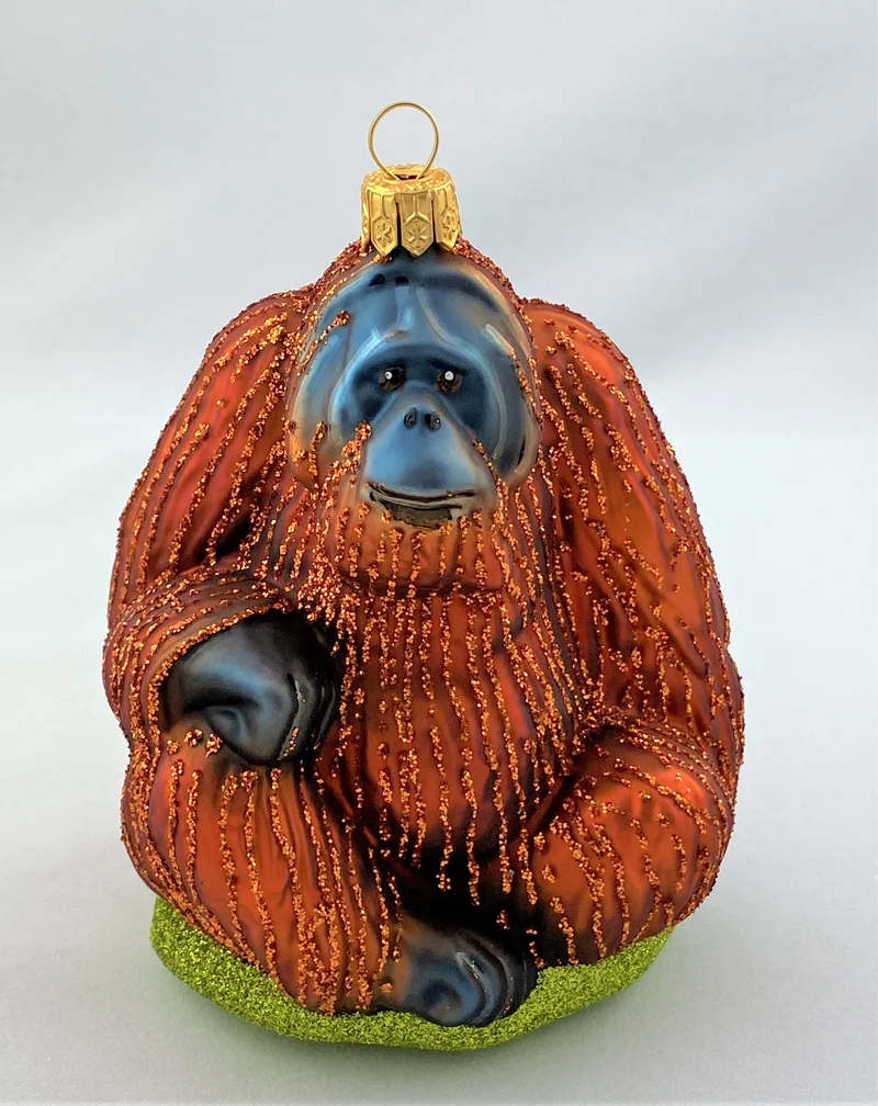 Orang Utan