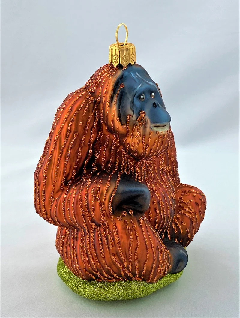 Orang Utan