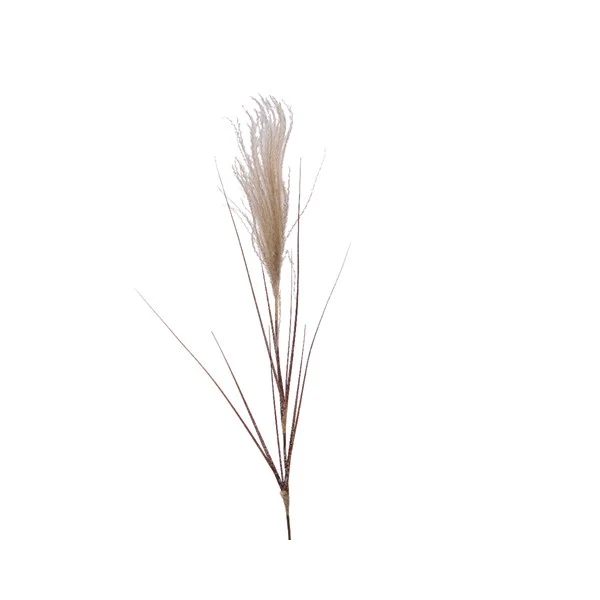 PVC Pampasbueschel - 20x3x88cm - Naturel/Schnee