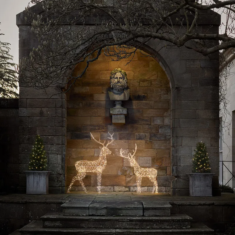 LED-Rentier Hirsch L Duchy
