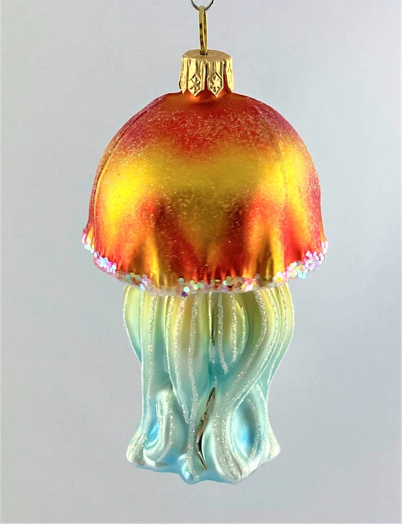 Qualle, orange, gelb