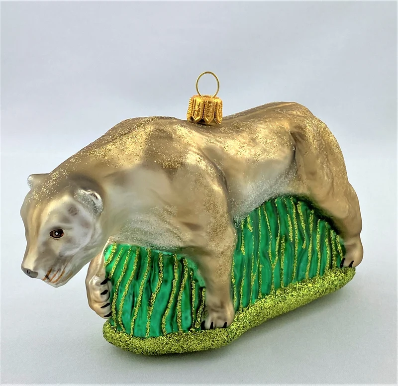 Löwin oder Puma