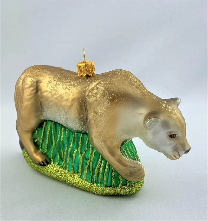 Löwin oder Puma
