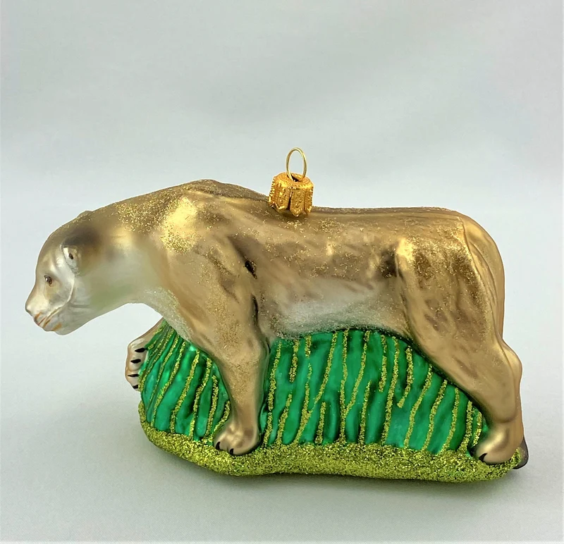 Löwin oder Puma