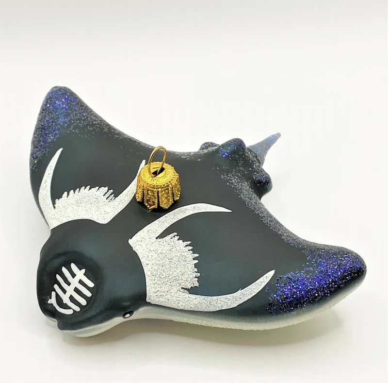 Manta , Rochen
