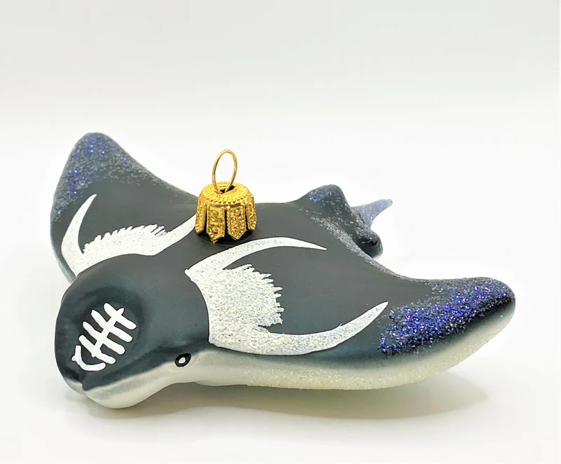 Manta , Rochen