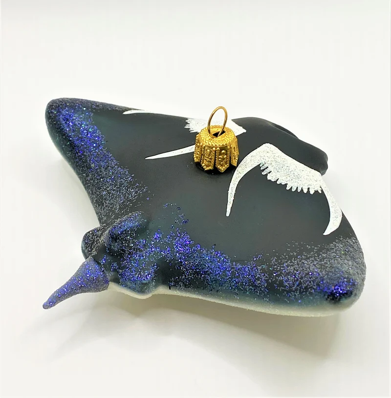 Manta , Rochen