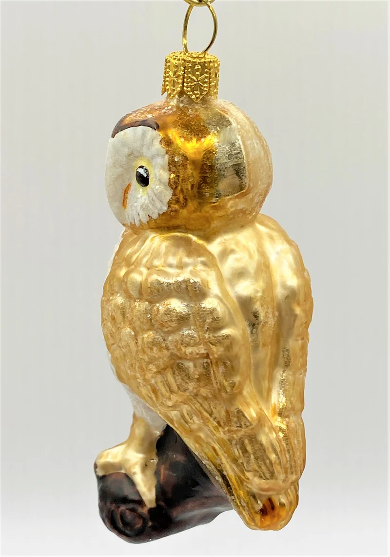 Kleine Schleiereule