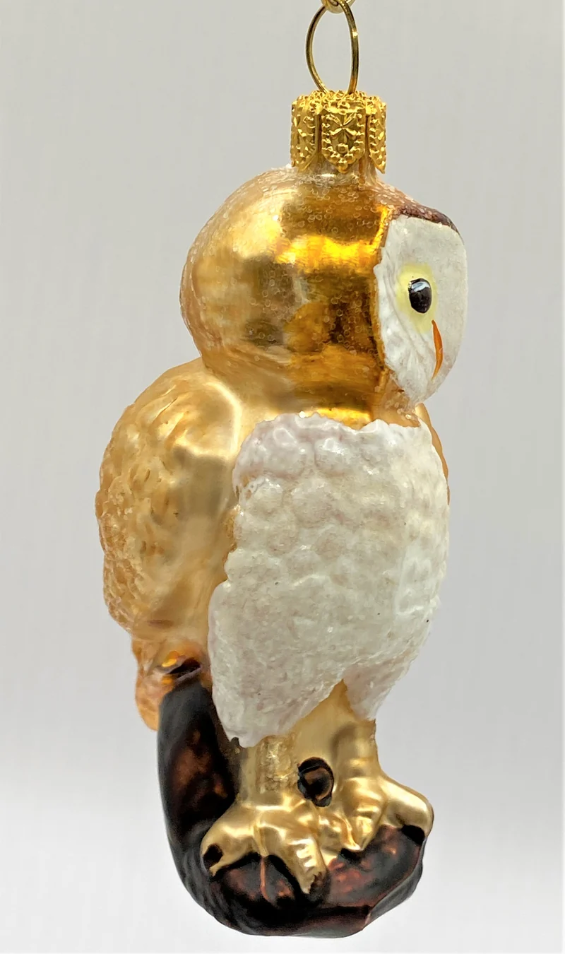 Kleine Schleiereule