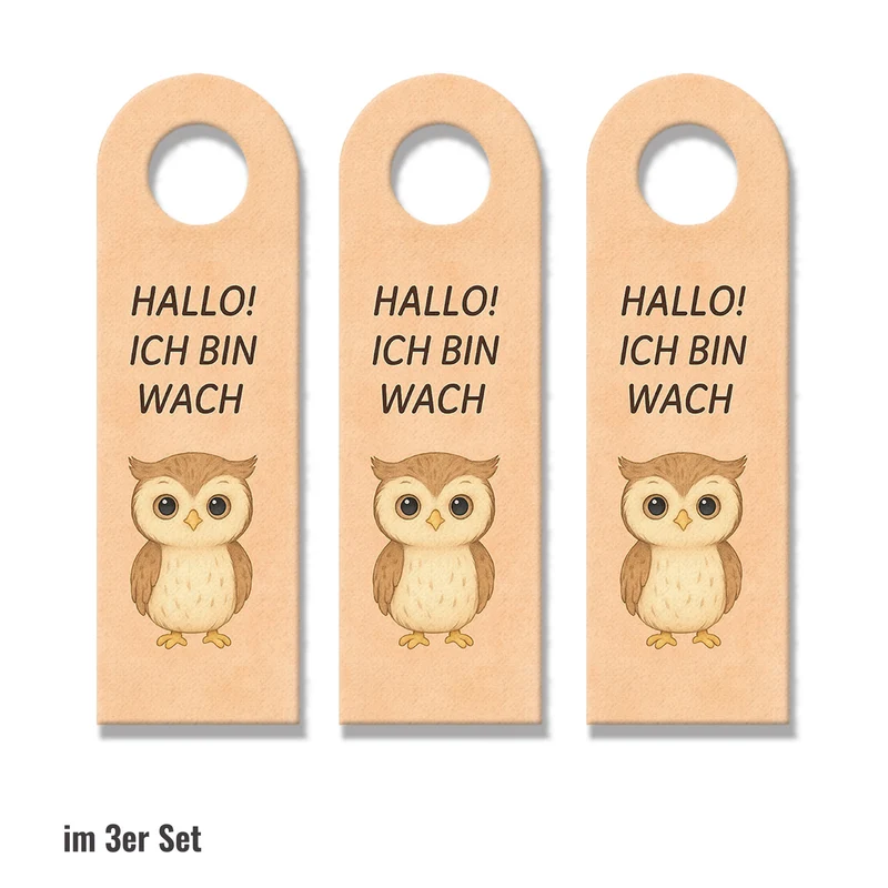 Hallo Ich bin wach Eule träumt Türhänger fürs Kinderzimmer