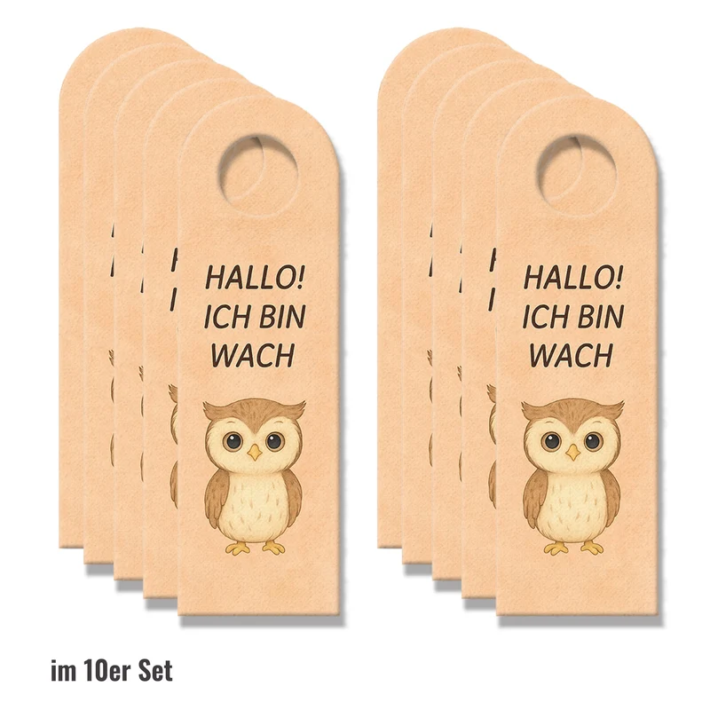 Hallo Ich bin wach Eule träumt Türhänger fürs Kinderzimmer