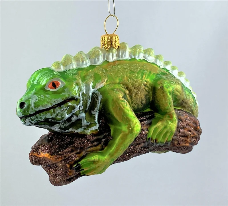 Grüner Leguan