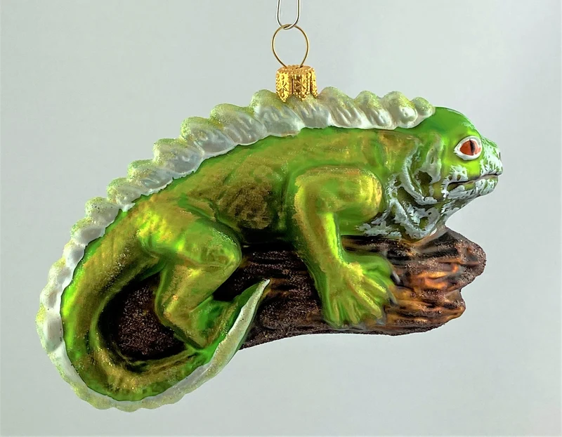 Grüner Leguan