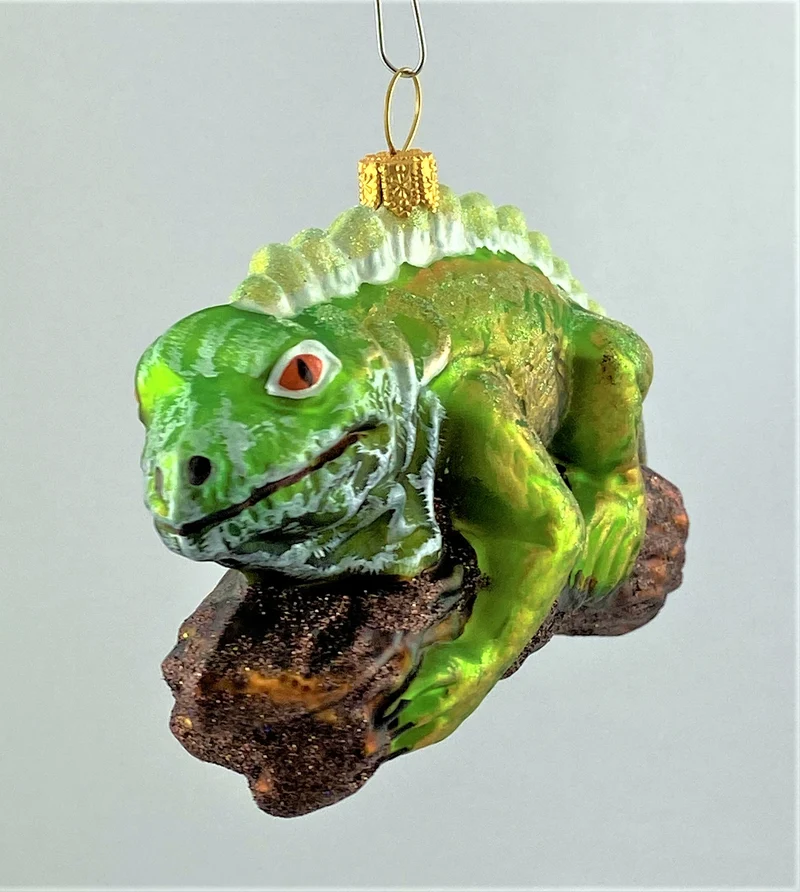 Grüner Leguan
