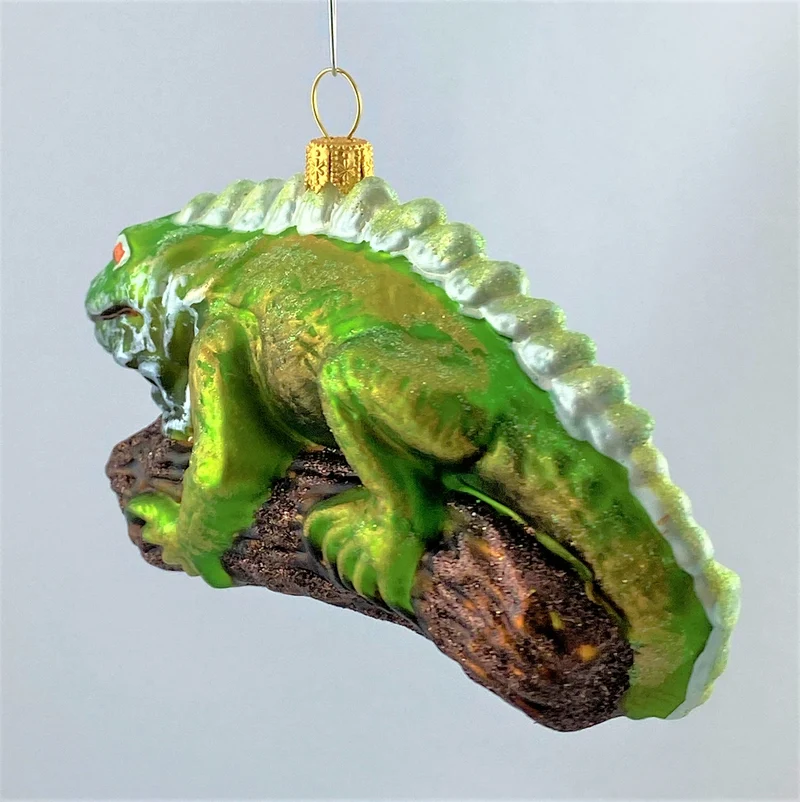 Grüner Leguan