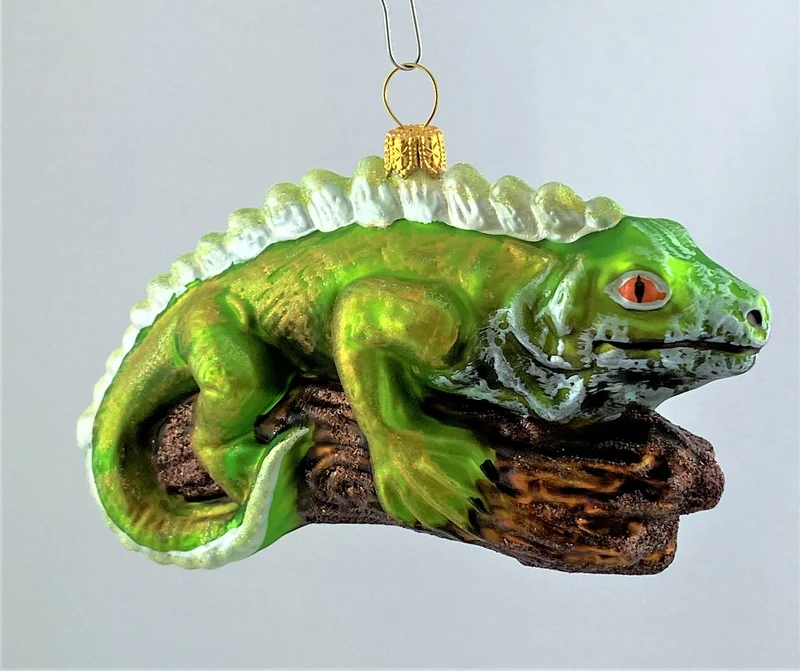 Grüner Leguan