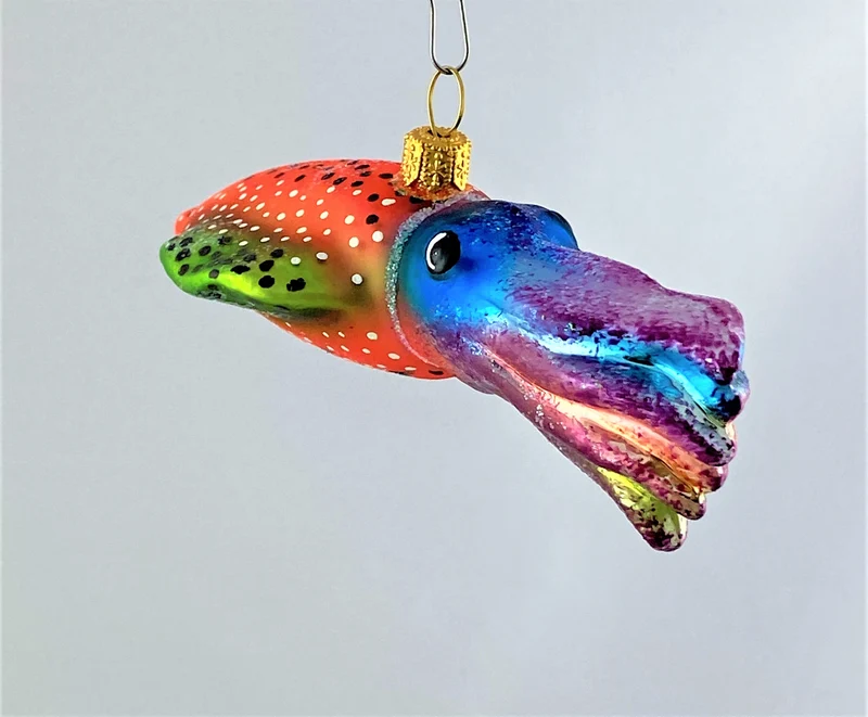 Bunter Tintenfisch