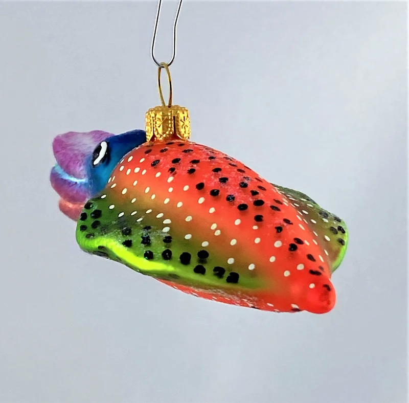 Bunter Tintenfisch