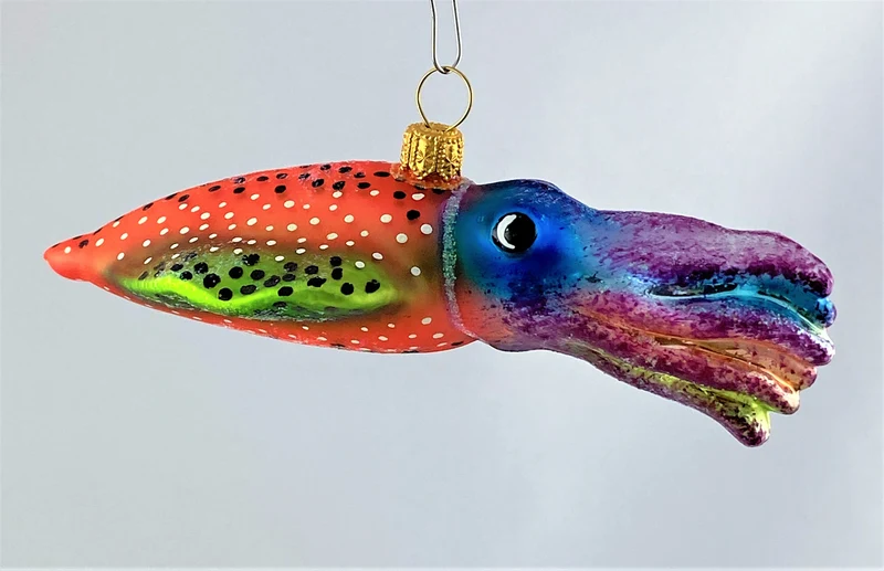 Bunter Tintenfisch