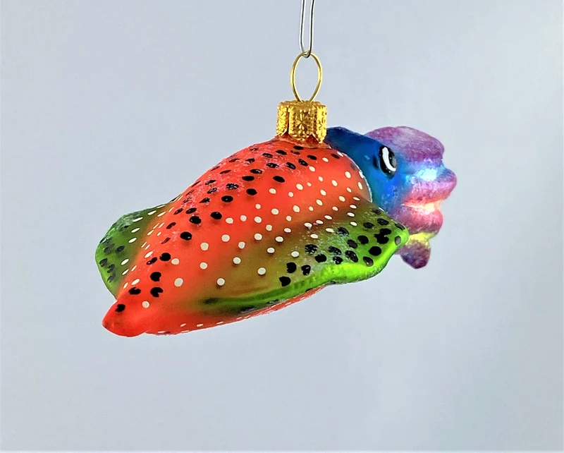 Bunter Tintenfisch