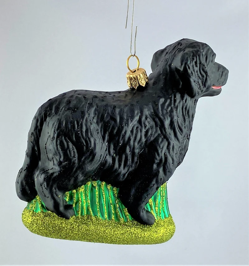 Flat Coated Retriever