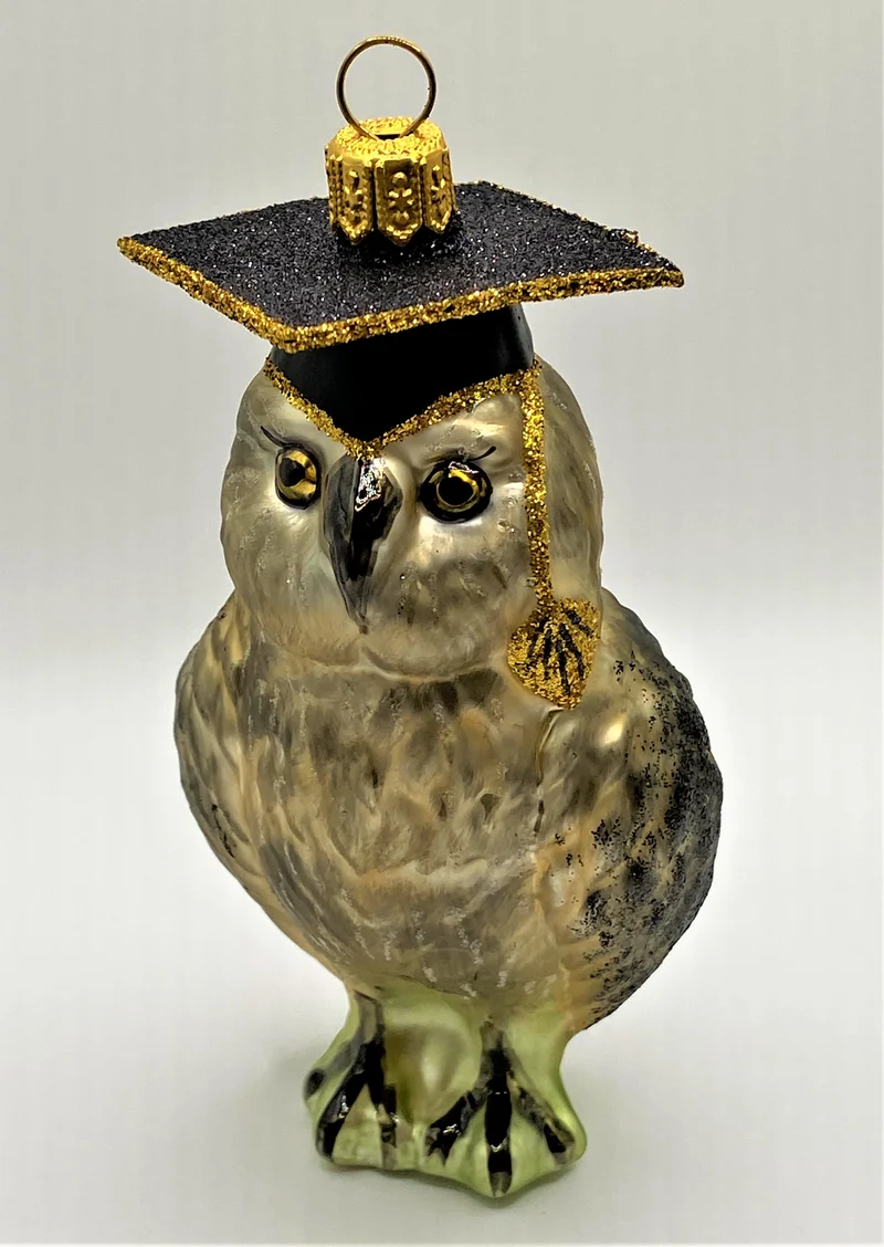 Eule mit Doktorhut, grau