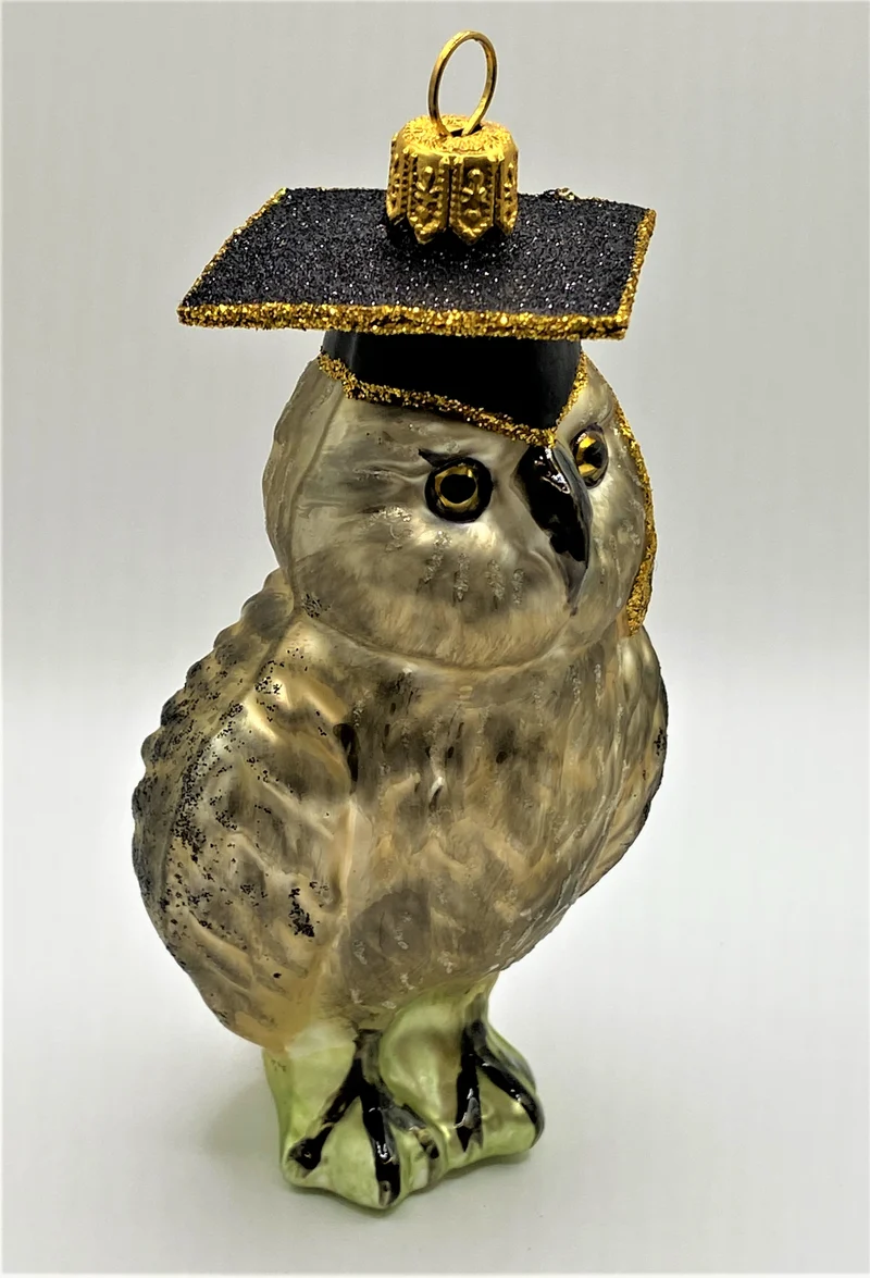 Eule mit Doktorhut, grau