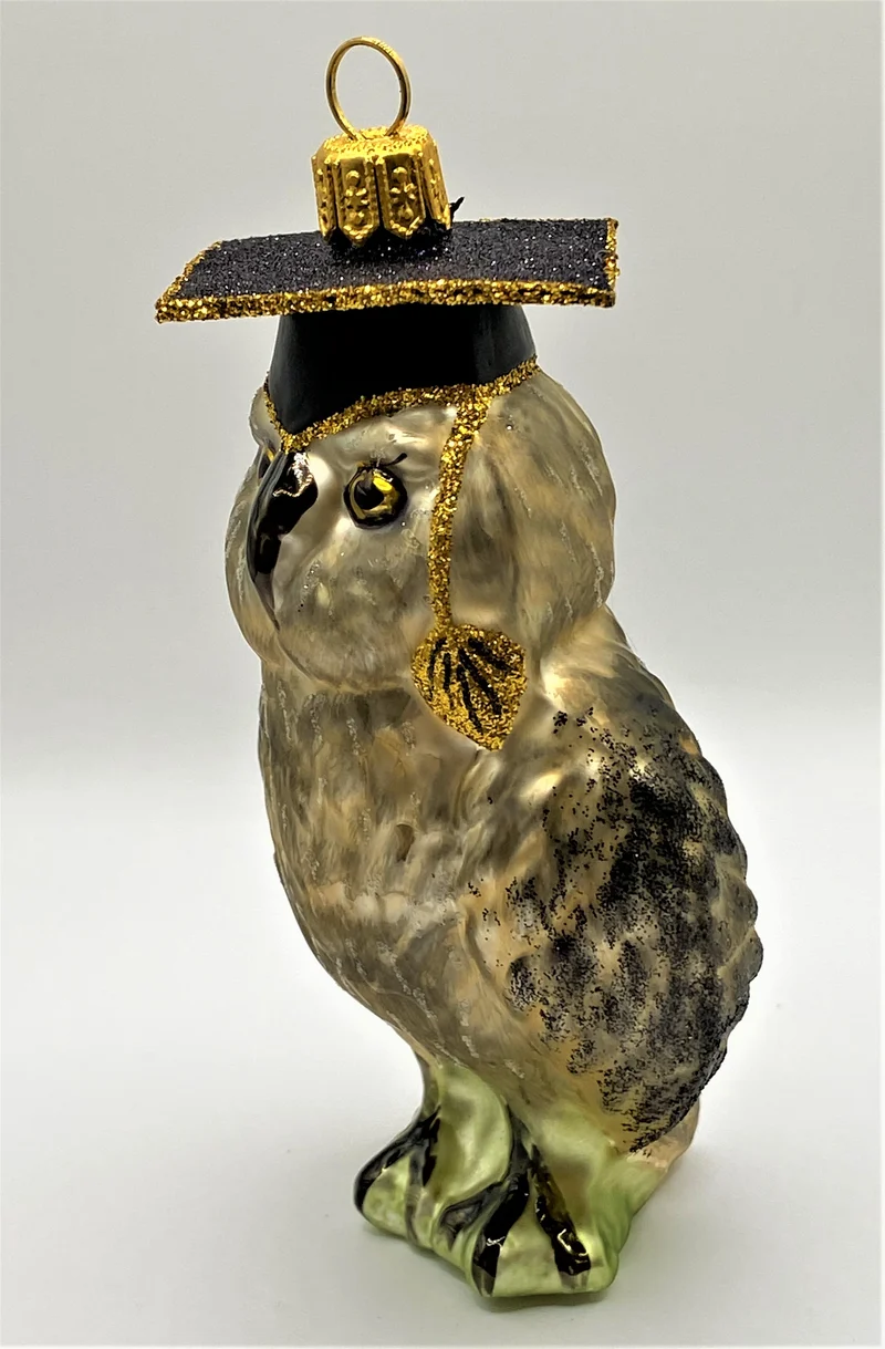 Eule mit Doktorhut, grau