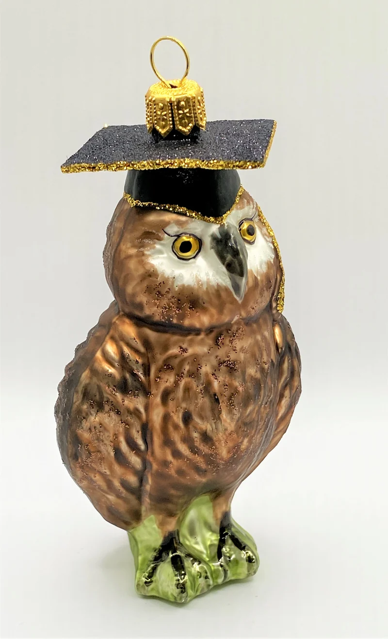Braune Eule mit Doktorhut