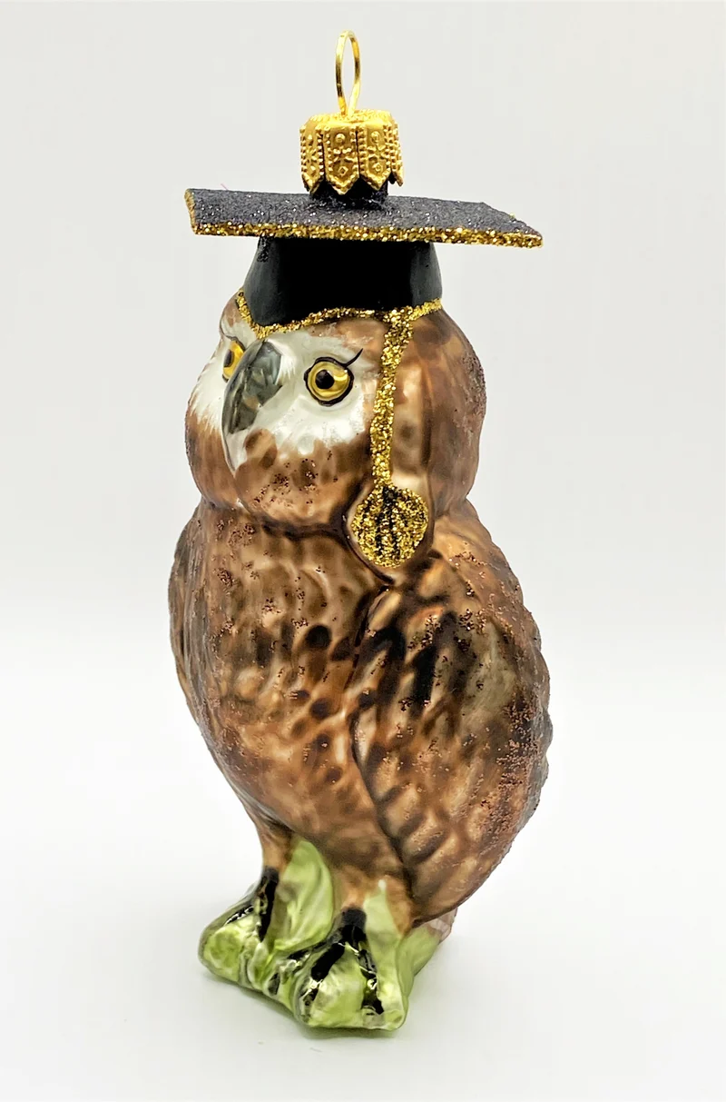 Braune Eule mit Doktorhut