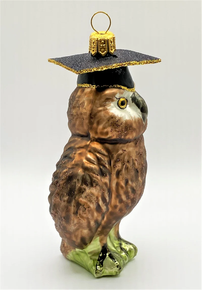 Braune Eule mit Doktorhut