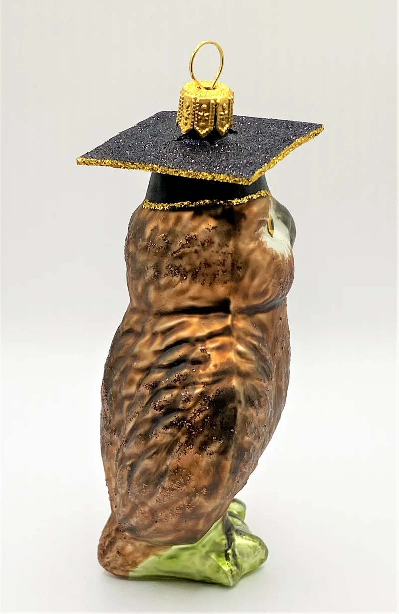 Braune Eule mit Doktorhut