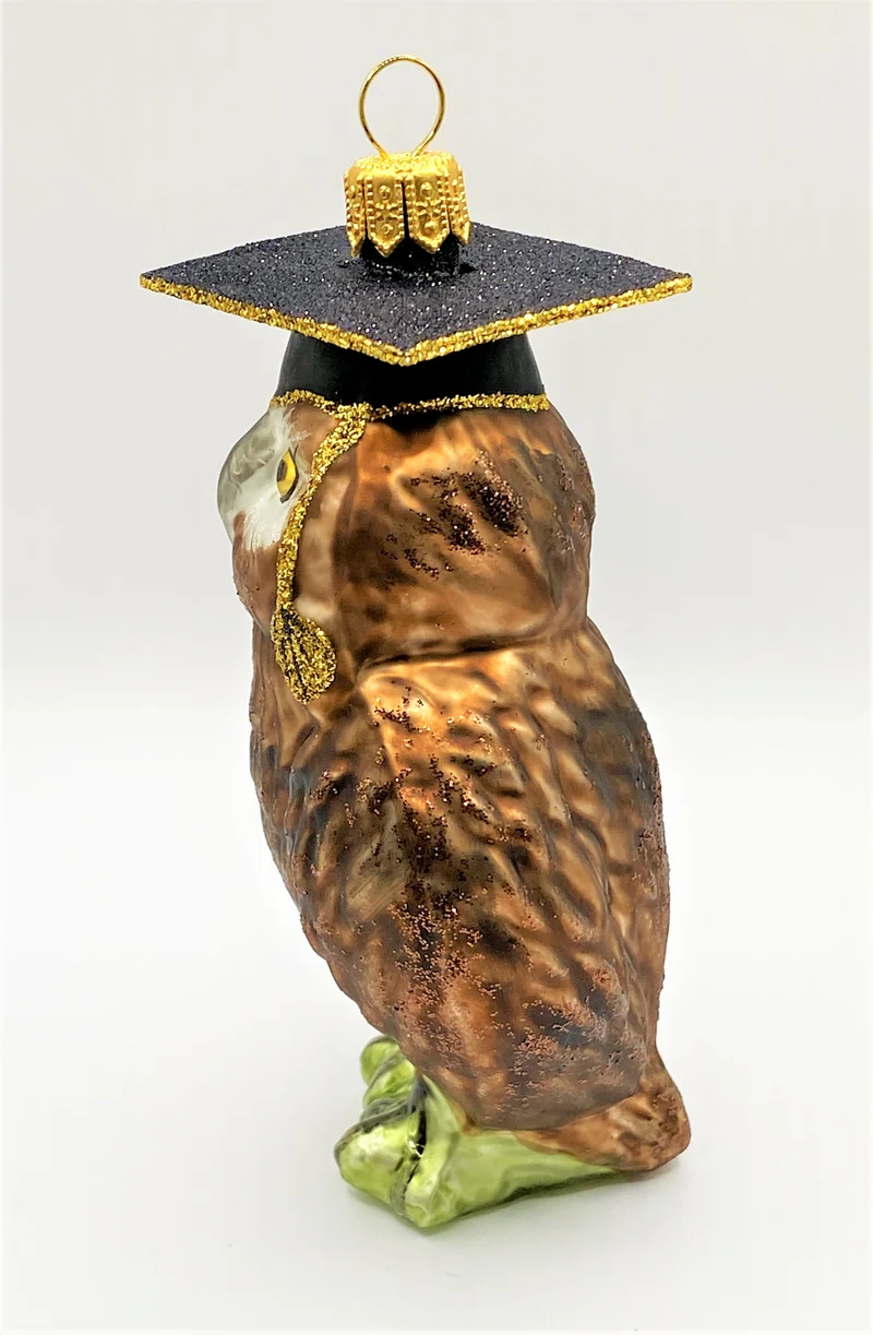 Braune Eule mit Doktorhut