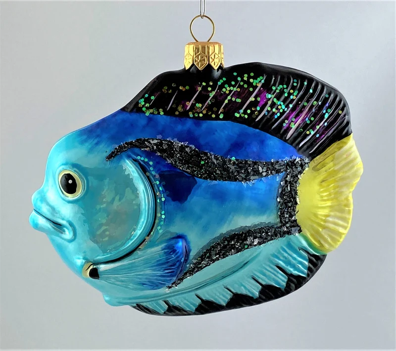 Grosser Kaiserfisch