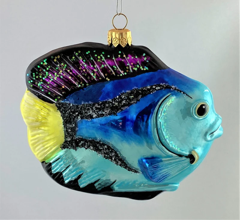 Grosser Kaiserfisch