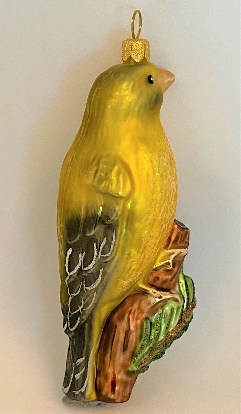 Girlitz auf Ast