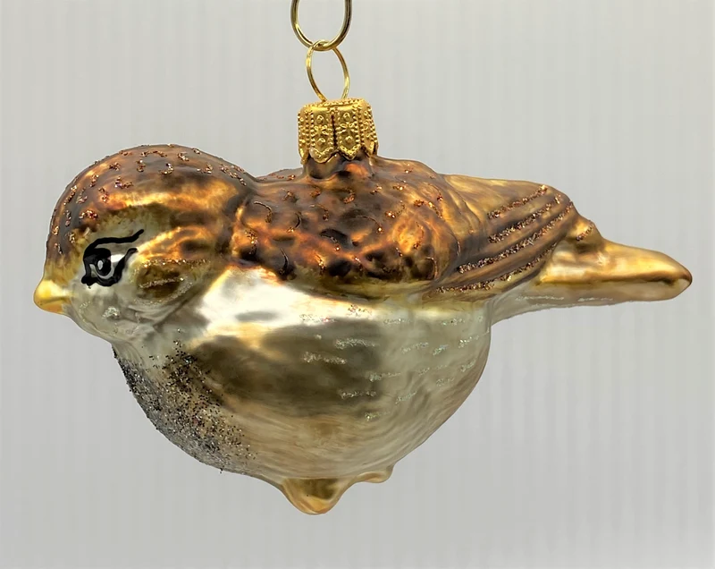 Junger Spatz